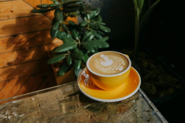 Find Your Perfect Leather Jacket for Britain's Capricious Climate: The Definitive Handbook